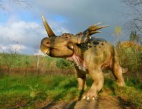 dinosauři savci prehistorická zvířata z doby ledové modelová dílna 06